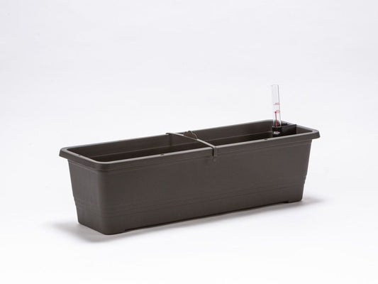 Plastia Bergamot 50cm Flower Box