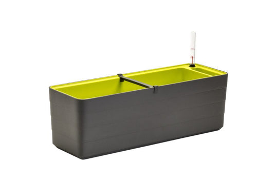 Urbalive Berberis 60cm Self-Watering Flower Box