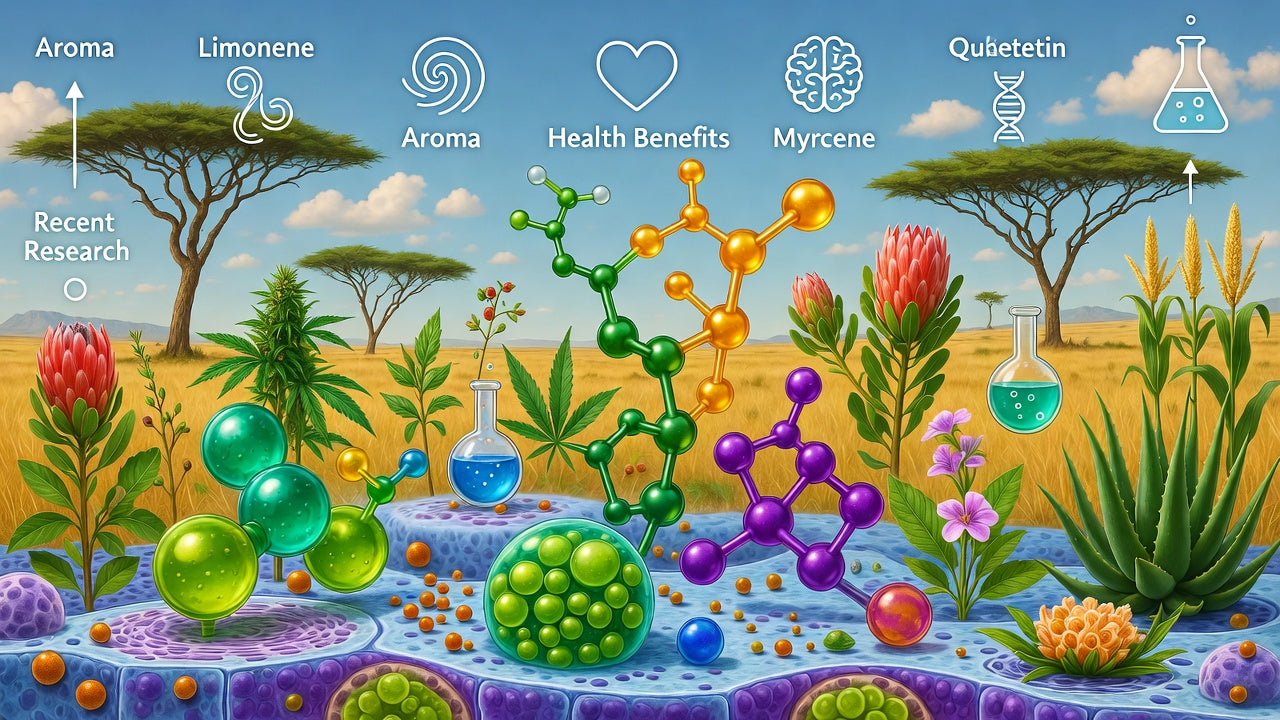 Terpenes and Flavonoids: The Hidden Heroes of Plants and Cannabis – Unlocking Their Pot-tential in SA Grows