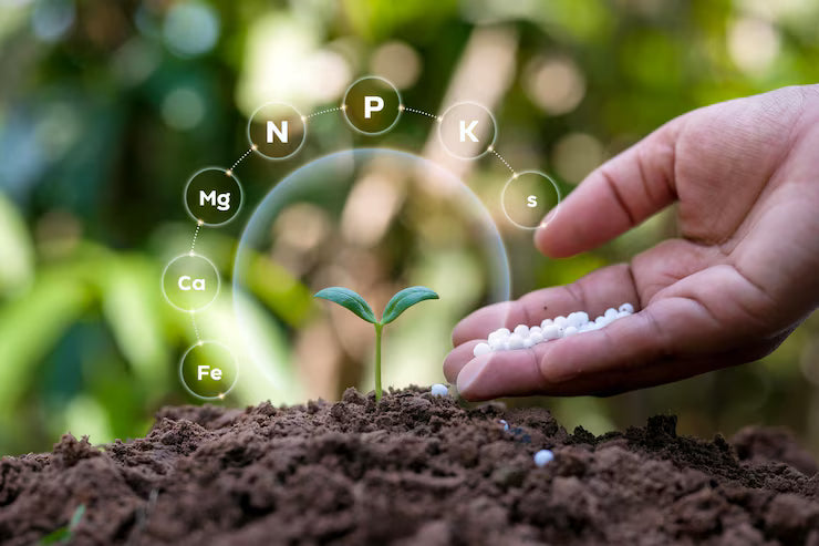 Nutrients - Pot-tential Grows