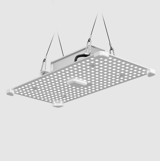 LUMii BLACK Blade 100W LED