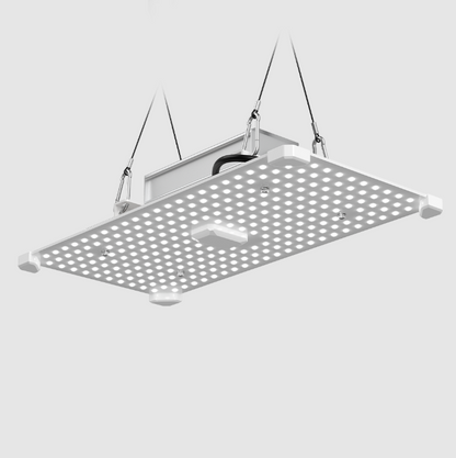 LUMii BLACK Blade 100W LED