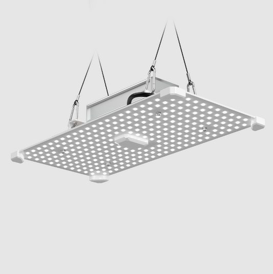 LUMii BLACK Blade 100W LED