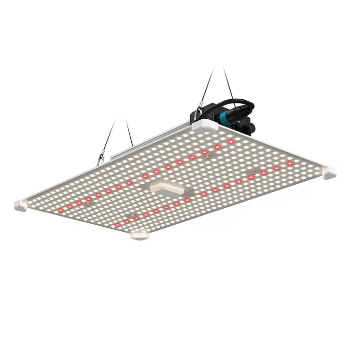 LUMii BLACK Blade 200W LED