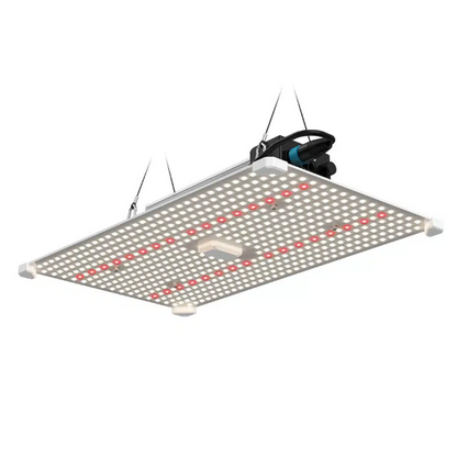 LUMii BLACK Blade 200W LED