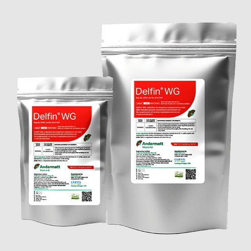Delfin