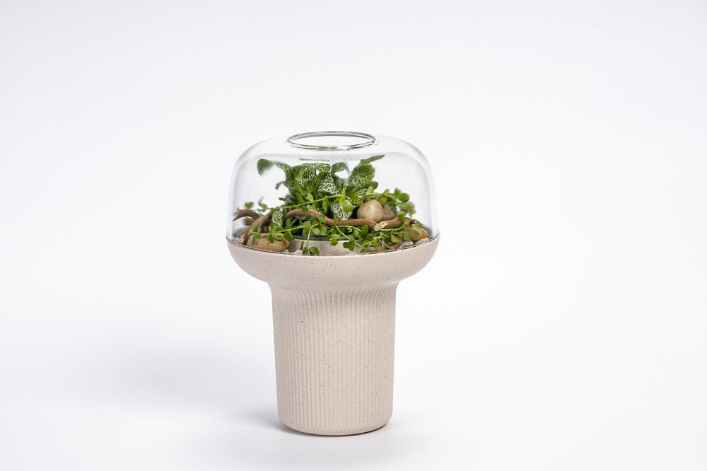 Plastia Humidarium