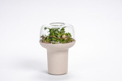 Plastia Humidarium