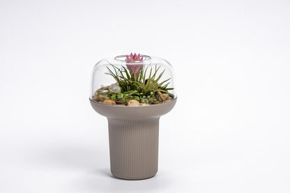 Plastia Humidarium