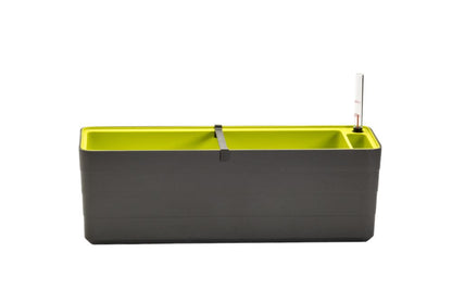 Urbalive Berberis 60cm Self-Watering Flower Box