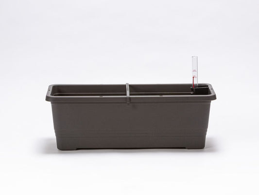 Plastia Bergamot 50cm Flower Box