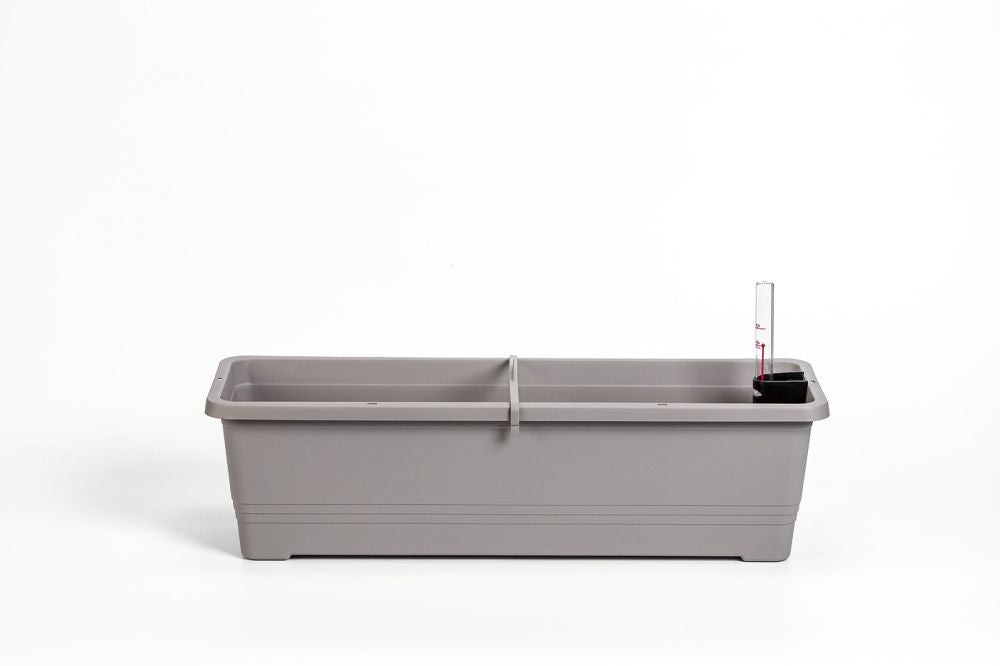 Plastia Bergamot 50cm Flower Box