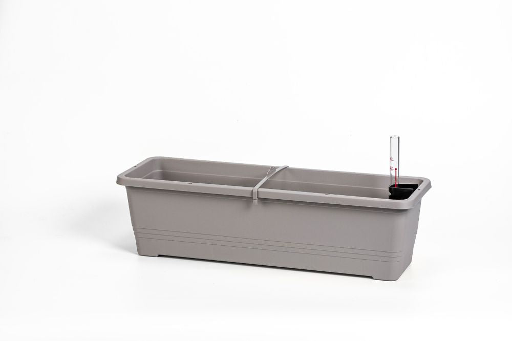 Plastia Bergamot 50cm Flower Box
