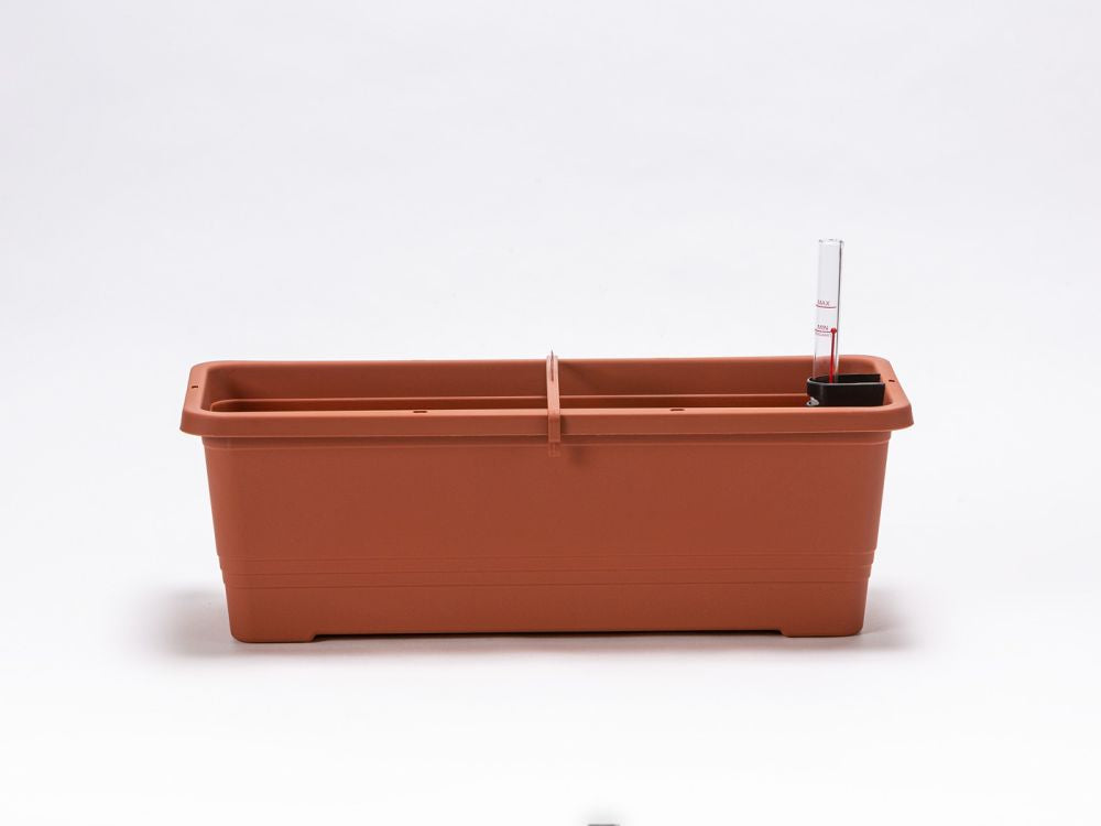 Plastia Bergamot 50cm Flower Box