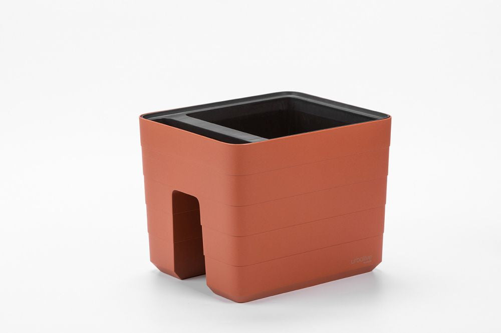 Urbalive Berberis 30cm Balcony Box
