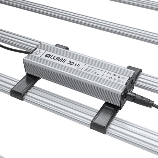 LUMii XLEDv6 680w LED